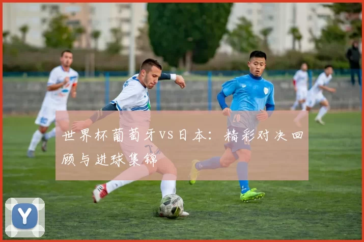 世界杯葡萄牙vs日本：精彩对决回顾与进球集锦