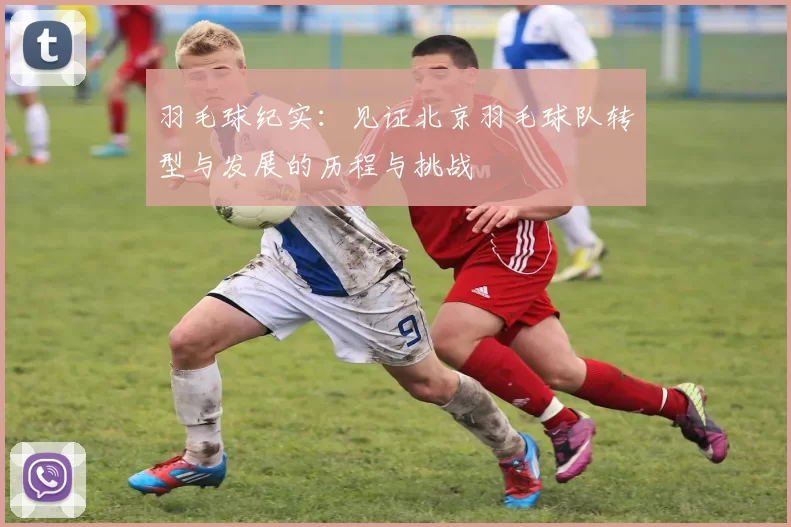 羽毛球纪实:见证北京羽毛球队转型与发展的历程与挑战