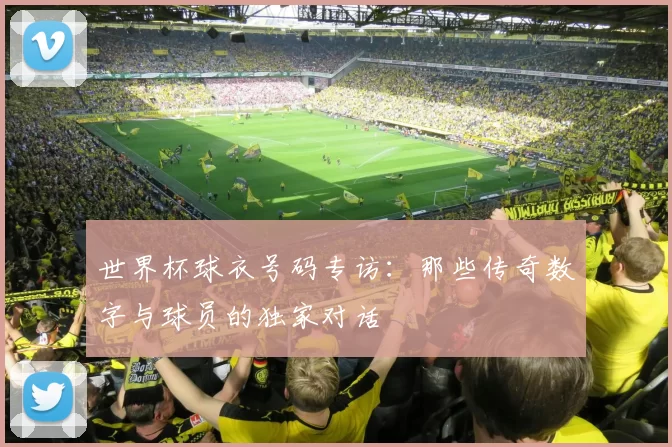 世界杯球衣号码专访:那些传奇数字与球员的独家对话