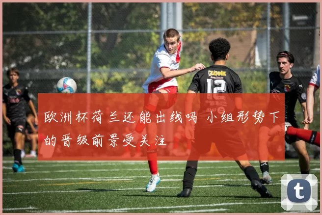 欧洲杯荷兰还能出线吗 小组形势下的晋级前景受关注