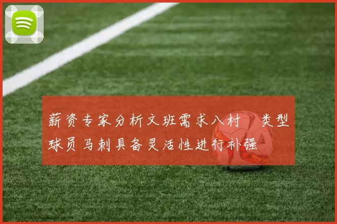 薪资专家分析文班需求八村塁类型球员马刺具备灵活性进行补强