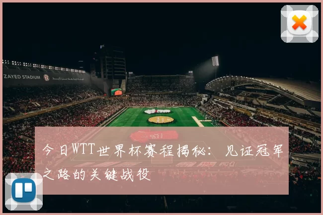 今日WTT世界杯赛程揭秘:见证冠军之路的关键战役