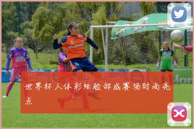 世界杯人体彩绘脸部成赛场时尚亮点